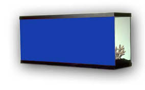 Back Ground Vinyl Backing sold per meter (Blue)